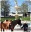 image of boy with horse in front of the fountain