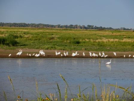 wetlands