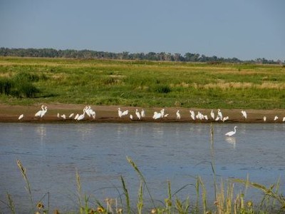 wetlands